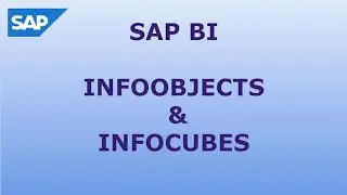 InfoObjects & InfoCubes in SAP BI
