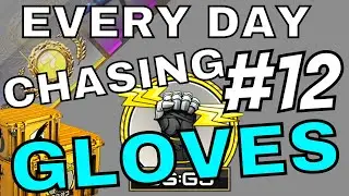 OPENING 1 CSGO Case EVERY Day Until I GET GLOVES (DAY #12)