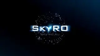 SkyRo WoE 02.02.16