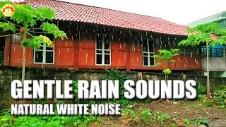 ASMR Rain Sounds for Sleep and Relaxation Rural Farmhouse Ambiance