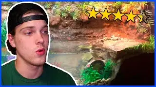 Super Naturalistic Turtle Tank! // Tank Tuesday Ep.4