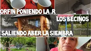 tenemos nuevos vecinos