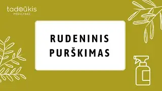 Rudeninis purškimas
