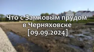 Черняховск. Замковое болото и чёрный ручей (09.09.2024)