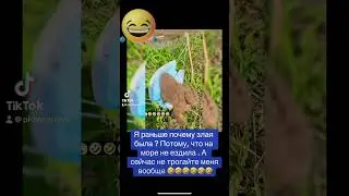 Приколы, жаба, смешное видео, лягушка