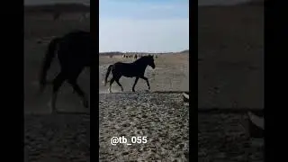 2022 ж. 2 ақпан
