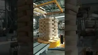 Palletizer and online pallet wapping machine with top sheet dispenser