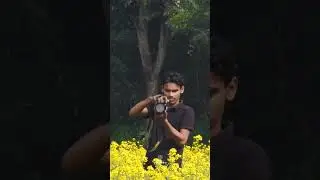 Bird Wildlife photography | 