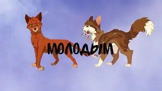 Коты воители. Клип Огнезвёзд и Пестролистая :ЗАКАЗ:-Молодым