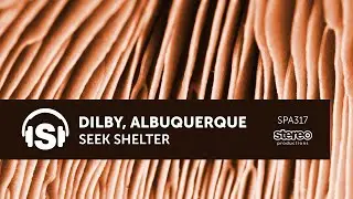 Dilby, Albuquerque - Seek Shelter  - Stereo Productions