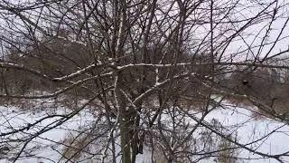So Long - Так довго...Так долго...