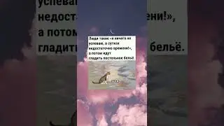 #memes