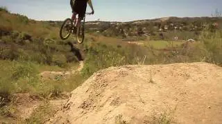 Support the Whip - Kevin Aiello