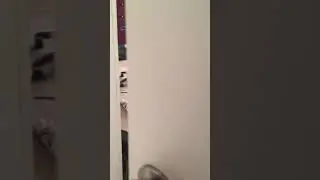 c a t