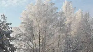 Cold Beautiness of Nature in Finland