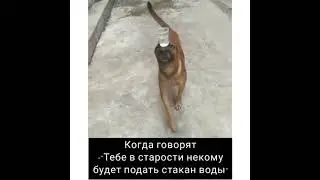 Когда говорят -