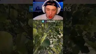 ТОП МАНСЫ ОТ МП5 В РАСТ 🤠 #раст #rust #mildons #соло