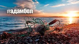 Капчагайское водохранилище / Чистые водоёмы