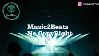 Knuckles | Slynk [No CopyRightSongs]  Music2Beats #Dance&Electronic #Happy