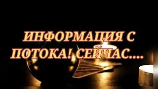 ИНФОРМАЦИЯ С ПОТОКА❗СЕЙЧАС... 🧿