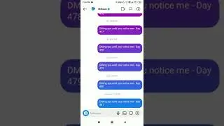 DMing MrBeast until he notices me - Day 482