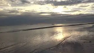 ♥ 
