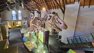 Australian Fossil and mineral museum