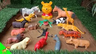 "Mud Rescue Fun! Cleaning Stuck Animals with Cute Puppy & More! 🦏🦁🐶 | Dino World TV"