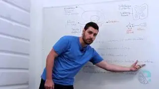 Encéfalo