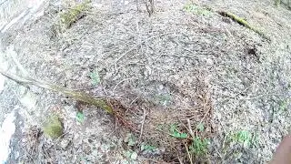 Опять копаем!