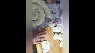 TOVUQLIY SOMSA (qovoqli somsa).uy sharoitida.