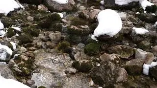 Water Relax Sound - Brook 1 - 4K UHD