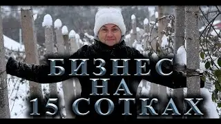Бизнес на 15 сотках | Введение