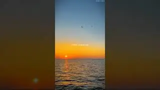 Zalima | Aesthetic Status | #shorts #shortvideo #viral #aesthetic #aestheticstatus #trending