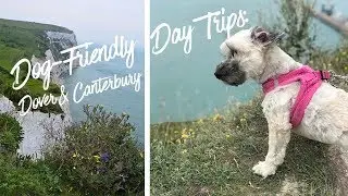 Dog-Friendly Day Trips from London: Dover,  & Canterbury Vlog
