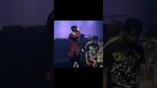 last fall live 