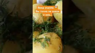 Опасные свойства укропа