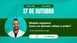 Medula regenera! Como os animais voltam a andar?