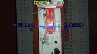 Day 7 of 30: Adding an Active Buzzer to a Raspberry Pi