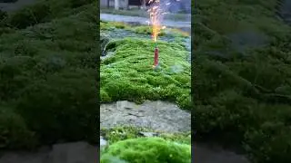 #hindi