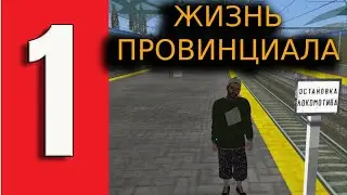 ЖИЗНЬ ПРОВИНЦИАЛА #1 