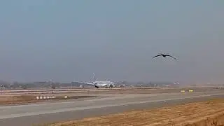 Qatar Airways || Boeing 777|| Qatar Airways taking off || Beautiful Boeing 777
