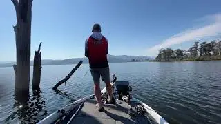 2024 BASS Somerset | Day 2