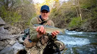 Michigan Rainbow trout on nightcrawlers
