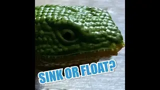 Sink or Float?  #shorts