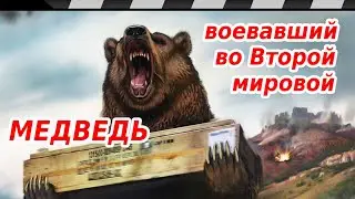 МЕДВЕДЬ КОТОРЫЙ БЫЛ НА ФРОНТЕ