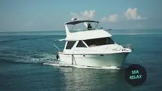 Моторные Яхты в Сочи