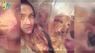 САМОЕ ПРИКОЛЬНОЕ ВИДЕО С ЖИВОТНЫМИ  FUNNY ANIMALS