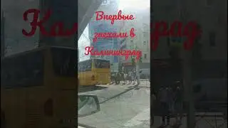 Мы первый раз в Калининграде #поездка#кёнигсберг