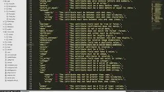Cutomize validation message in laravel.